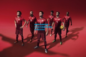 球鞋风波持续发酵 广东宏远为易建联申请特定用鞋引热议