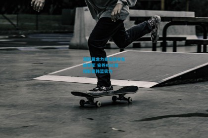 湾区翼龙力克琉球夺东超季军 安养KGC登顶彰显韩篮实力