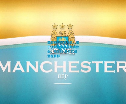 英超换帅风波再起，诺丁汉森林瞄准富勒姆教头，马尔科-席尔瓦成潜在目标