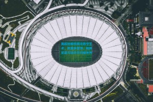 英超抢断榜揭示防守艺术，凯塞多登顶，帕利尼亚与廷贝尔闪耀并列