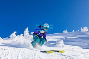 孙兴慜吐槽队友失联引热议，自曝换号乌龙背后的更衣室温情