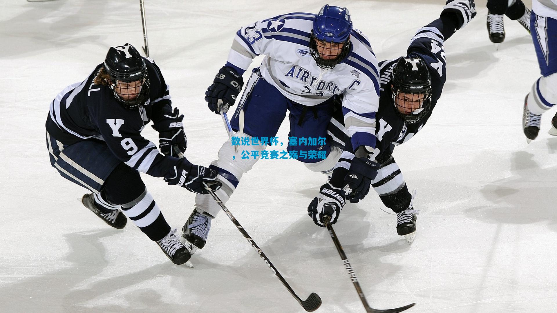 数说世界杯，塞内加尔，公平竞赛之殇与荣耀