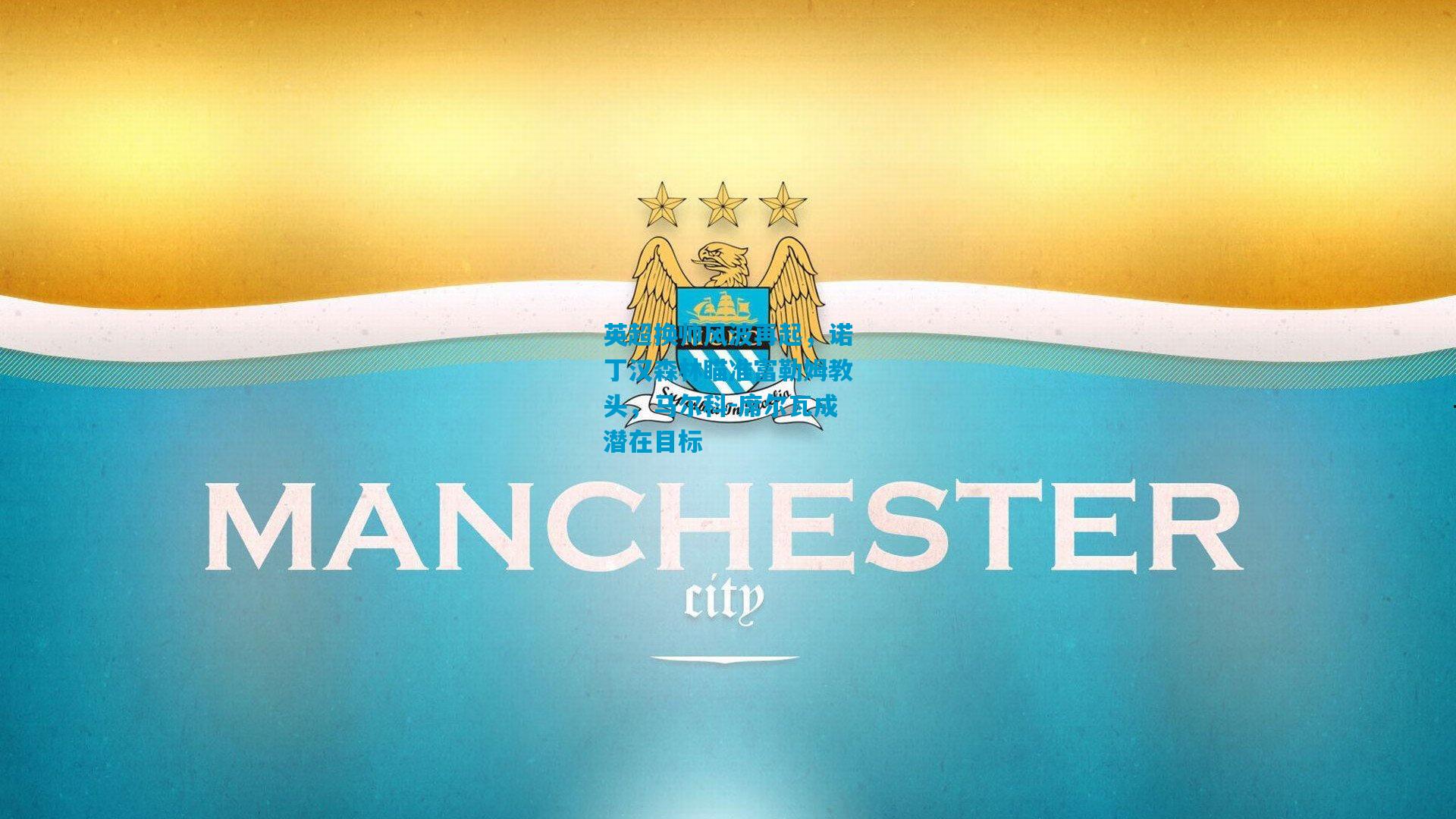 英超换帅风波再起，诺丁汉森林瞄准富勒姆教头，马尔科-席尔瓦成潜在目标